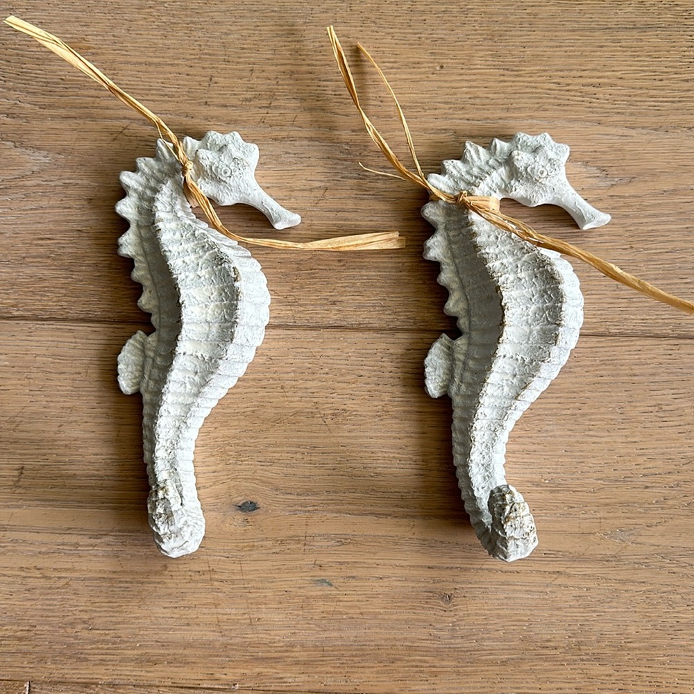 Seahorse hooks